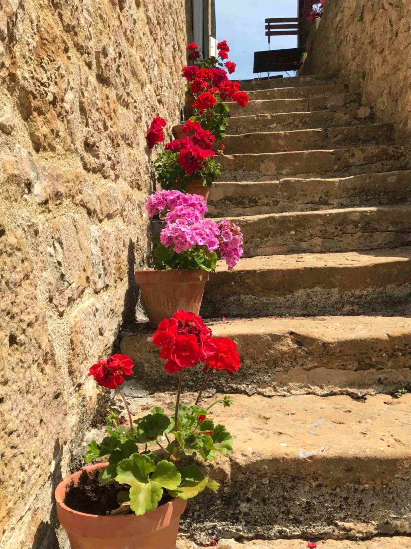 مبيت وإفطار Loubressac Manoir De Rieuzal المظهر الخارجي الصورة