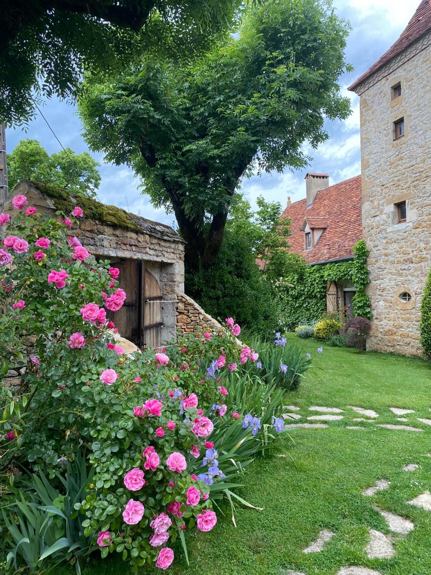 مبيت وإفطار Loubressac Manoir De Rieuzal المظهر الخارجي الصورة