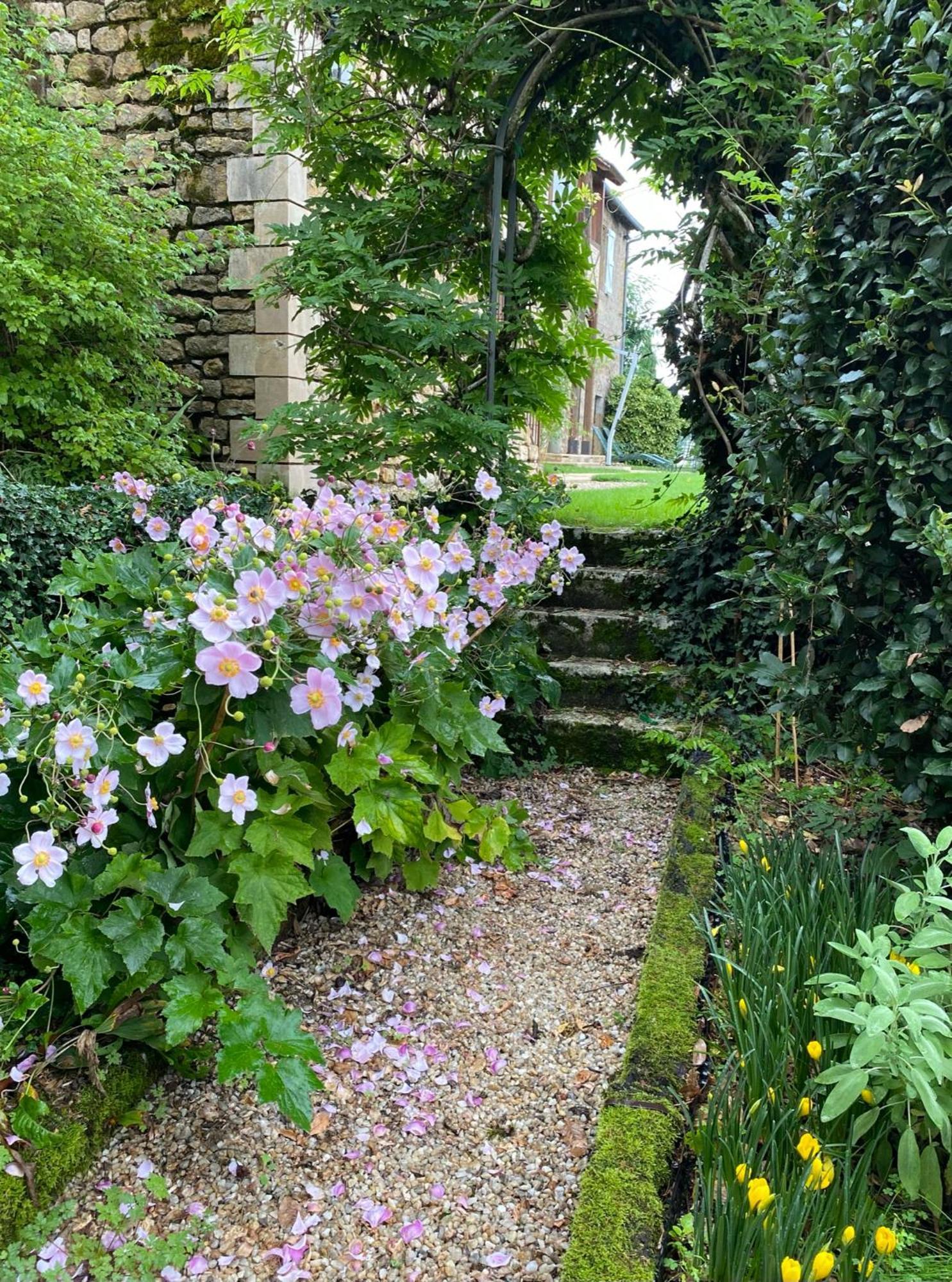 مبيت وإفطار Loubressac Manoir De Rieuzal المظهر الخارجي الصورة