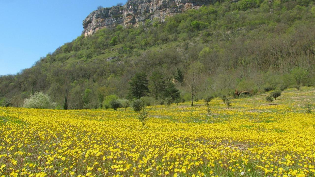 مبيت وإفطار Loubressac Manoir De Rieuzal المظهر الخارجي الصورة