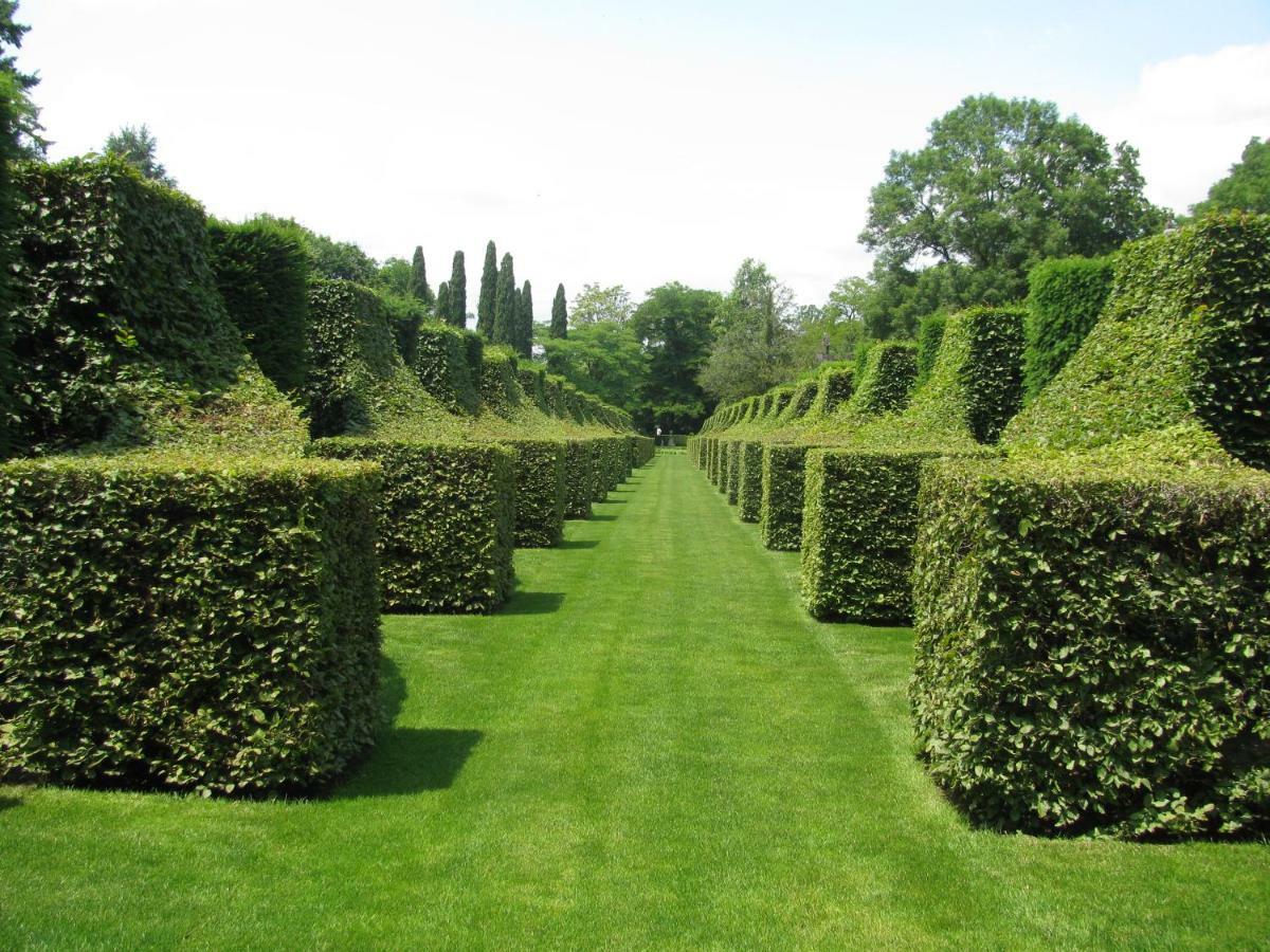 مبيت وإفطار Loubressac Manoir De Rieuzal المظهر الخارجي الصورة