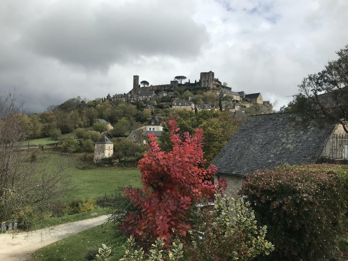 مبيت وإفطار Loubressac Manoir De Rieuzal المظهر الخارجي الصورة