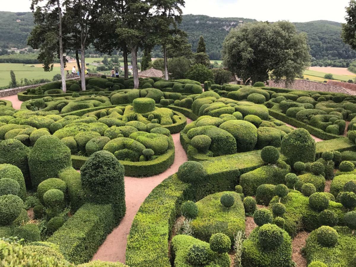 مبيت وإفطار Loubressac Manoir De Rieuzal المظهر الخارجي الصورة